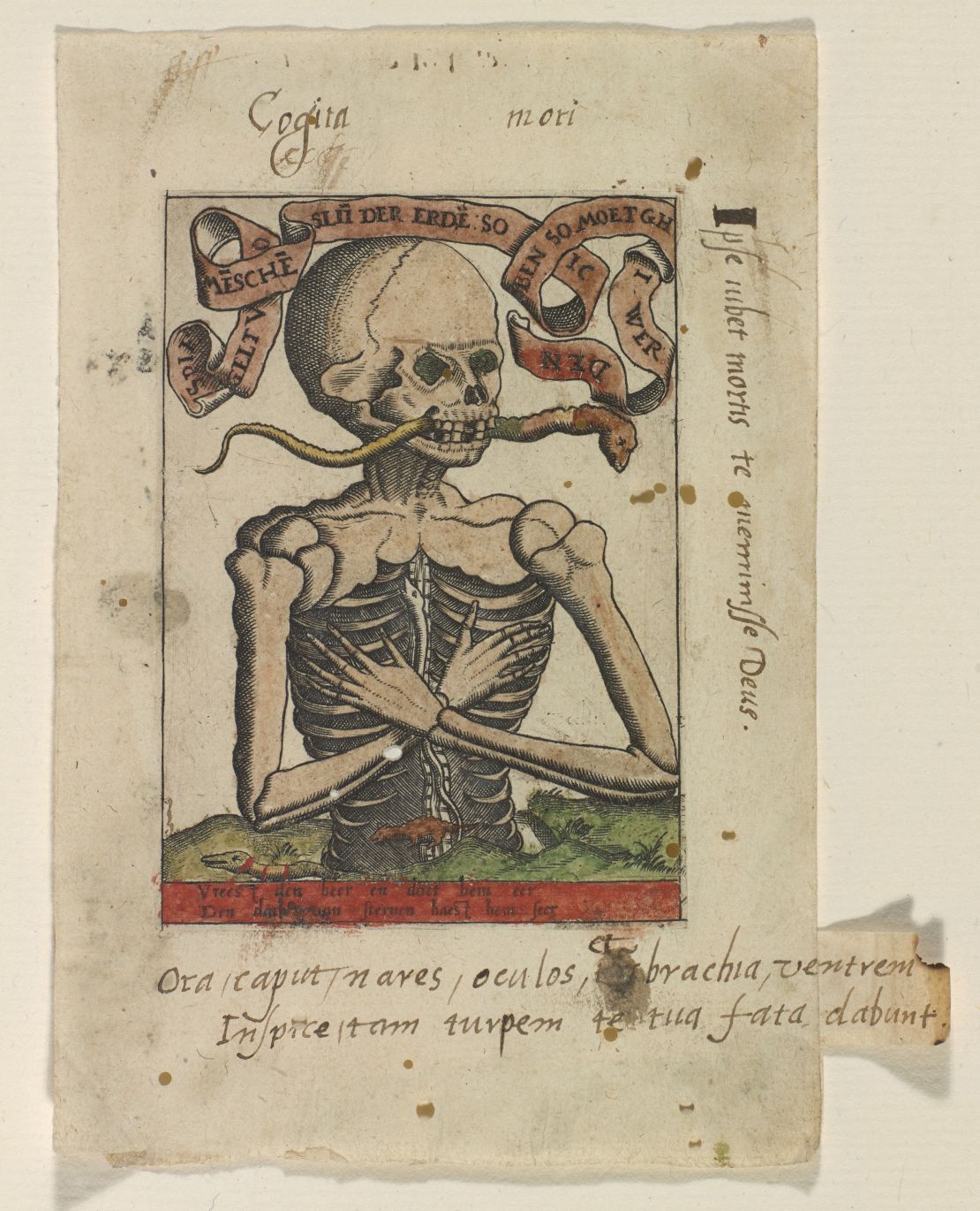 A Netherlandish memento mori engraving print (c. 1520) attributed to Master S. (Sanders Alexander van Brugsal)