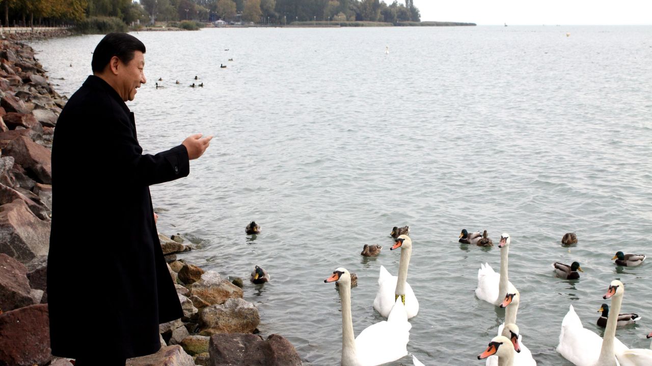 Xi feeds swans during an official visit to Hungary in 2009.
