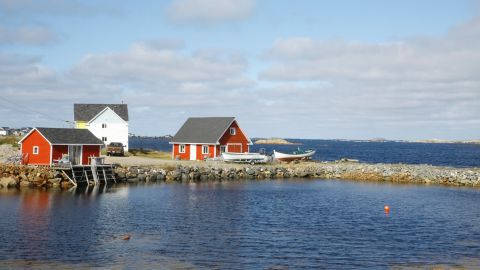 Sometimes the sun peeks out, creating vivid contrasts on the shores of Fogo Island.