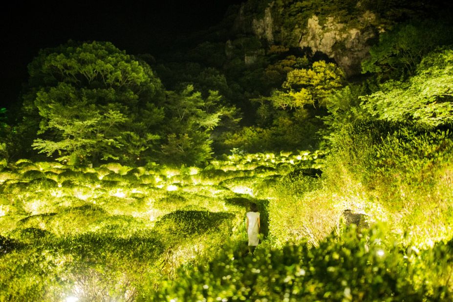 Thousands of azalea bushes lit up to greet visitors. 