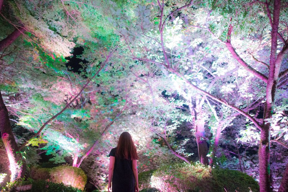 "A Forest Where Gods Live" (2017) by teamLab was set in a large, beautiful park in Kyushu, southern Japan.