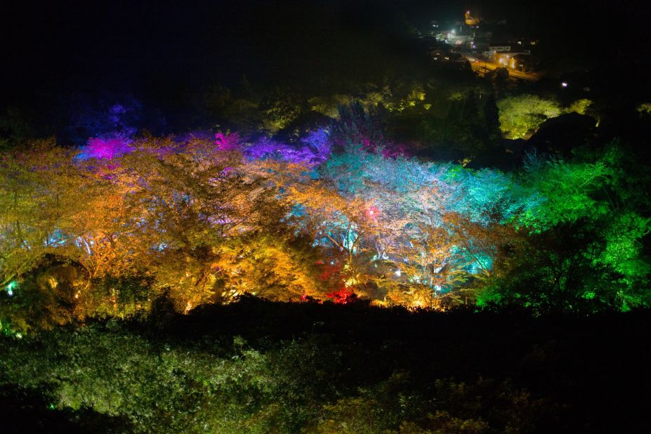 Japanese universities create glowing tree for non-electric lights