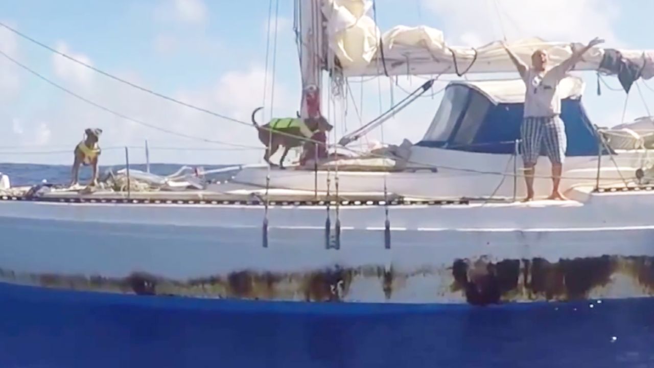 Appel reacts to their rescue.