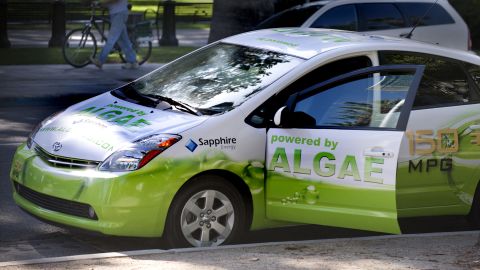 Algae are small aquatic organisms that produce energy from carbon dioxide and sunlight and store it in the form of oil. This can be converted into biodiesel.<br /><br />This modified Toyota Prius -- known as The Algaeus --  runs on electricity and biofuels made from algae. 