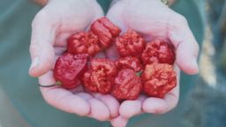 The 'Carolina Reaper,' grown in South Carolina, is thought to be the world's hottest pepper. 
