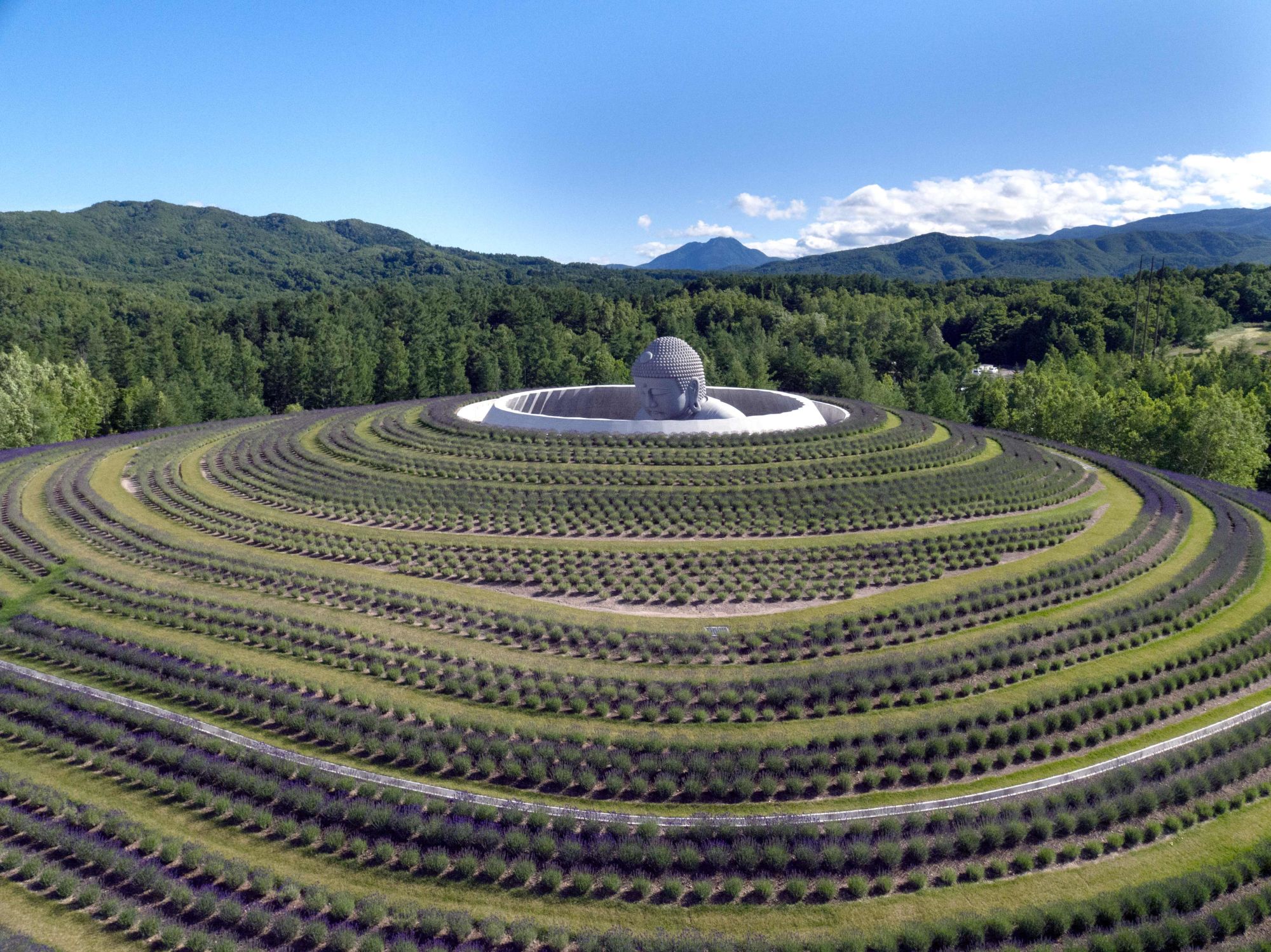 Hill of the Buddha