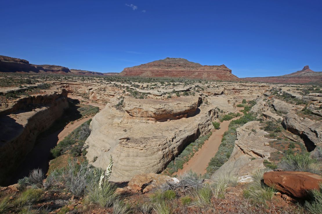 Bears Ears National Monument 