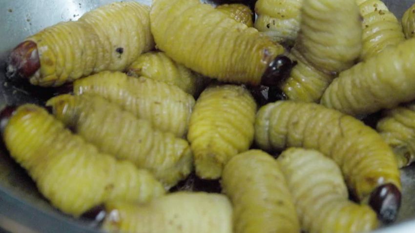 gbs gourmet buttery worms_00000000.jpg