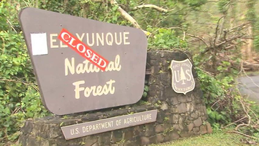 el yunque national forest obliterated martin savidge_00005702.jpg