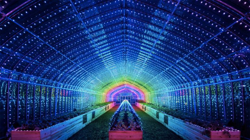 Seven types of vegetable are grown inside this "digital greenhouse" in Tokyo. Visitors can trigger sounds and LED light displays by touching the plants.