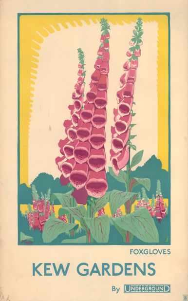 Dora Batty uses a foxglove to convey Kew Garden's beauty in this poster. This image was featured in the Design and Industries Association's yearbook in 1924 as an example of high quality modern design and effective advertising.