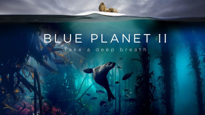 The multi-award winning wildlife documentary series "Blue Planet" narrated by David Attenborough first aired in 2001.<br /><br />Five years in the making, "Blue Planet" explores underwater worlds and fascinating species. It sold to more than 150 territories around the world. The seven-parter sequel, "Blue Planet II" was filmed over four years, covering every continent and every ocean.<br /> <br />"Blue Planet II" debuted in October this year, and was pre-sold to over 30 countries. The first episode drew 14 million UK viewers.<br />