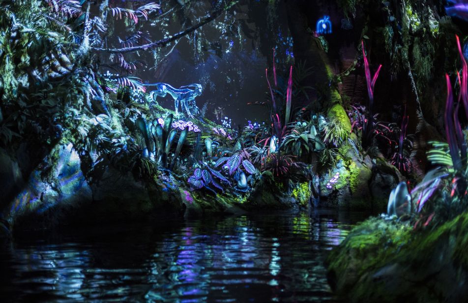 A new four-hour, guided group tour gives guests expedited access to a handful of rides at Disney's Animal Kingdom, including the Na'vi River Journey attraction at Pandora: The World of Avatar.