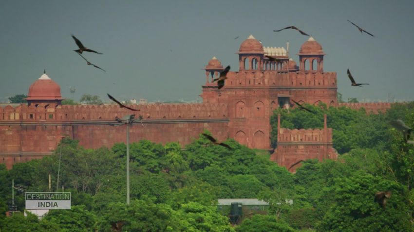 india old delhi food tour_00013118.jpg