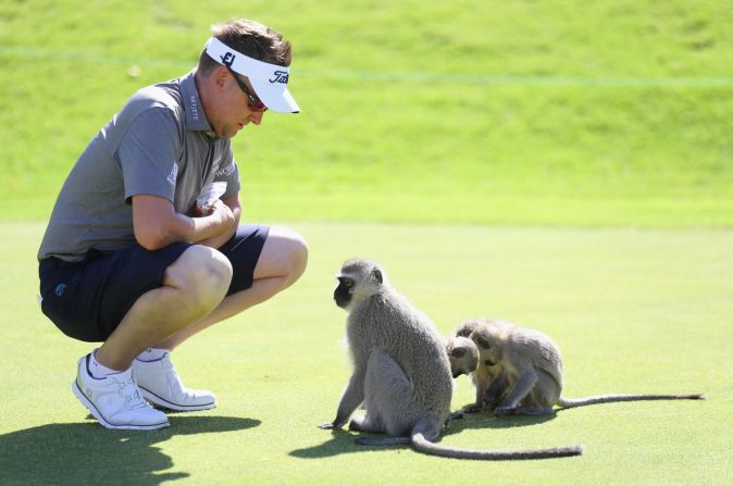 Ian Poulter made some friends at the Nedbank Golf Challenge, a European Tour event hosted by South Africa's Gary Player Country Club in Sun City. 