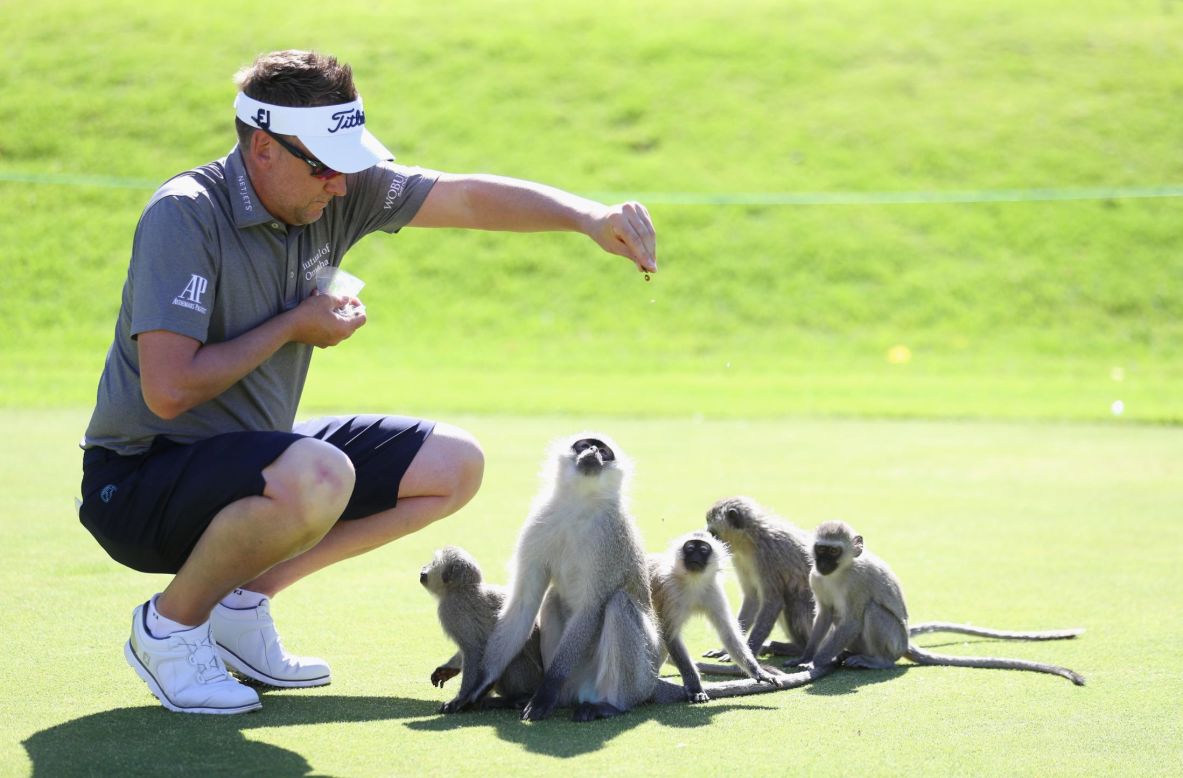 Ahead of the tournament which starts Thursday, the Englishman was visited by some monkeys on the greens, and he took time out from his practice round to feed them.