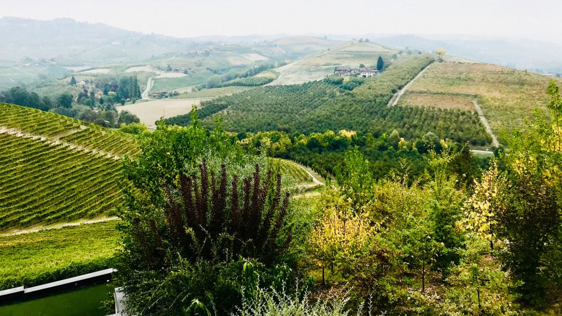 <strong>Idyllic location: </strong>Ruggieri will train in Italy's brand new academy, which is based in the UNESCO-listed Langhe region renowned for premium white truffle and rich Barolo wine.