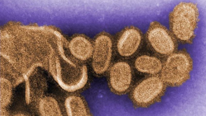 CDC Influenza Virus