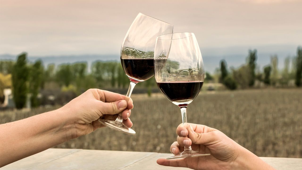 Malbec wine is arguably Mendoza's most famous export.