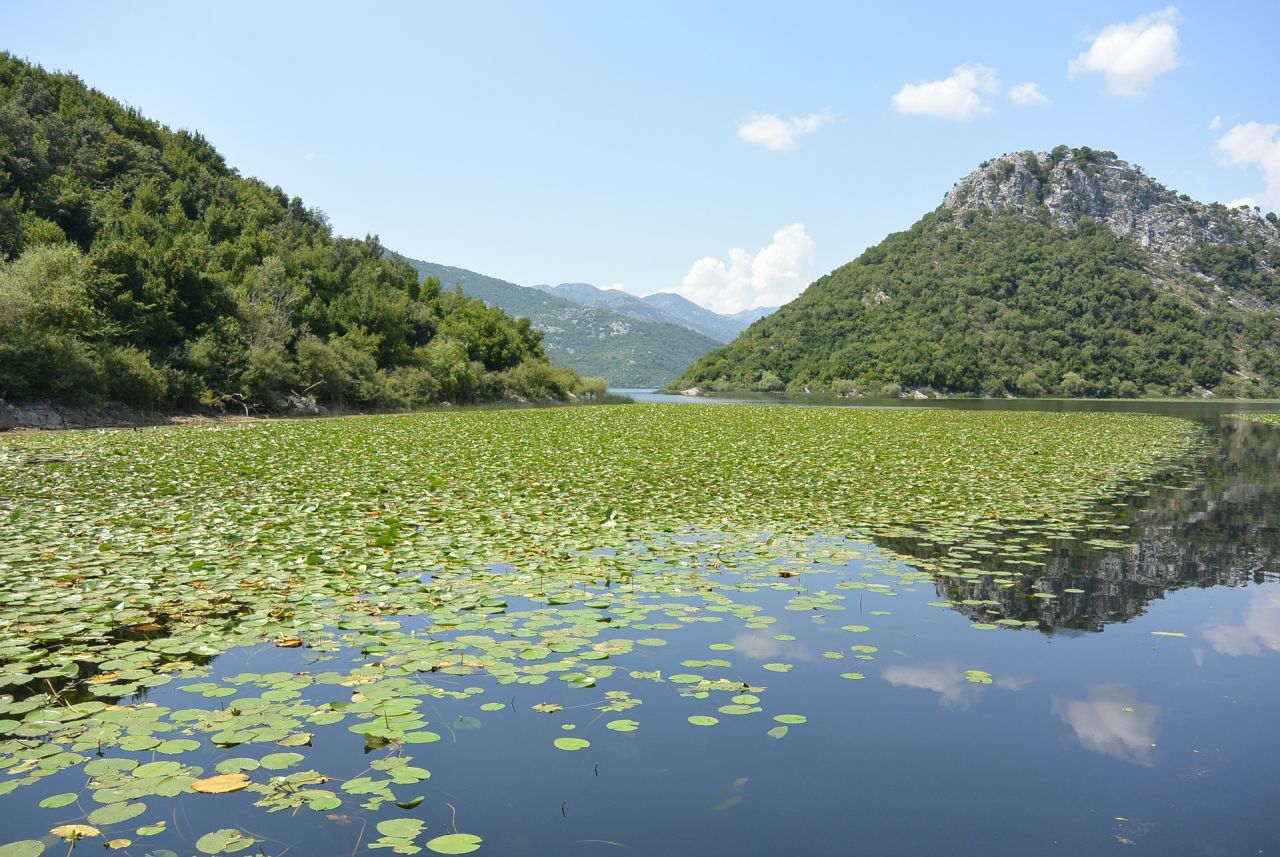 <strong>Pristine wilderness: </strong>Lake Skadar on the border of Montenegro and Albania is the largest lake in Southern Europe and a pristine wilderness often overlooked by the tourist trail. 