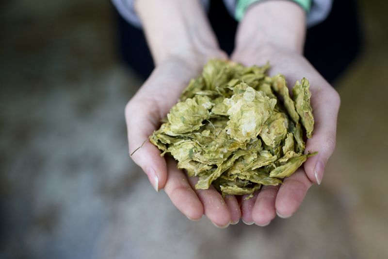 The Brewery That Turns Bread Into Beer | CNN