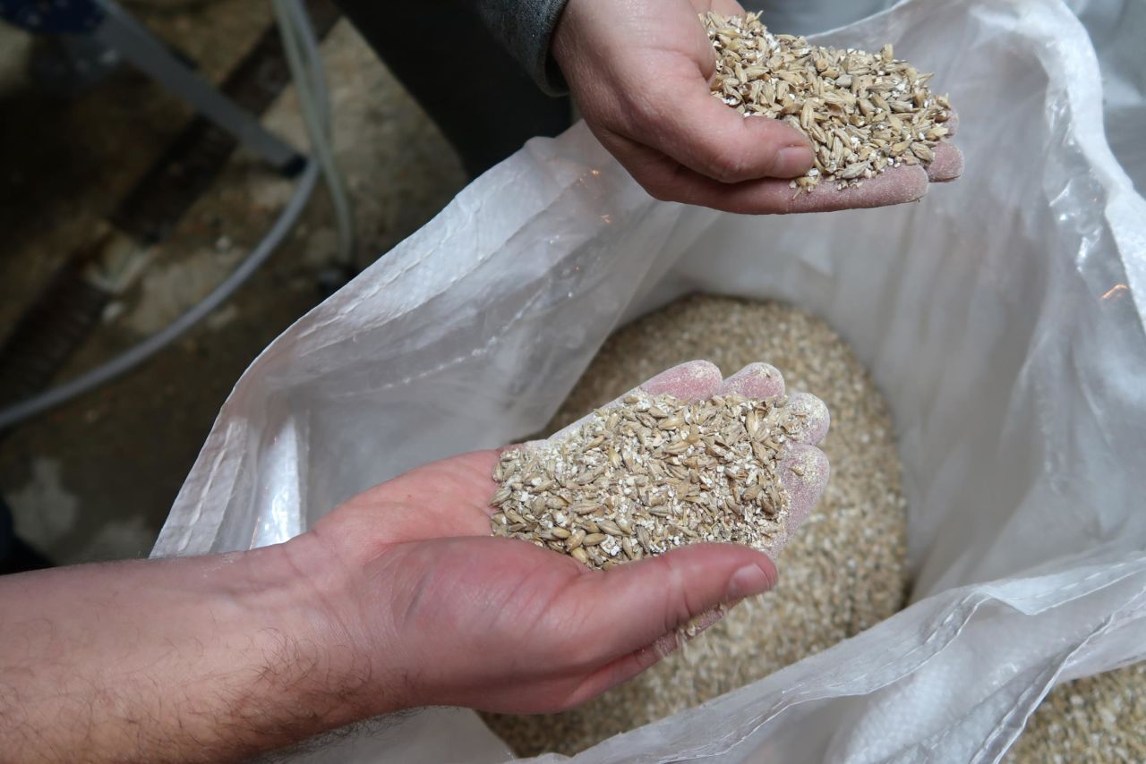 While bread replaces a third of the barley malt, malt is still required as it has naturally occurring enzymes that convert the starches in the grain into simple sugars.  <br /><br />Toast Ale uses crumbed bread, Pale Malt, Caramalt, Munich Malt and oat husks.
