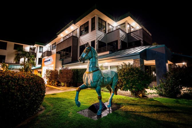 Dubbed the 'Art of the Horse' project, the statues will be auctioned off now the Breeders' Cup is over with the proceeds going towards local community events and charities.