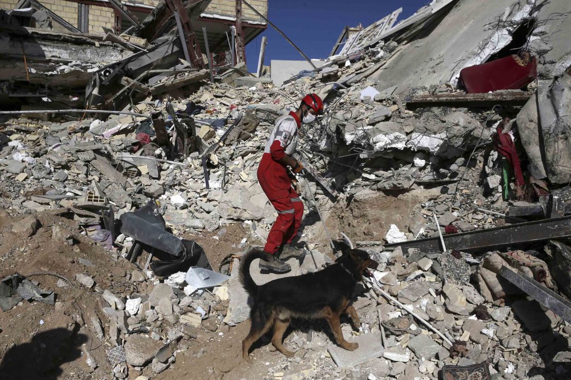 A rescue worker searches the debris with his sniffer dog on the earthquake site in Sarpol-e-Zahab in western Iran.