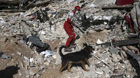 A rescue worker searches the debris with his sniffer dog on the earthquake site in Sarpol-e-Zahab in western Iran.