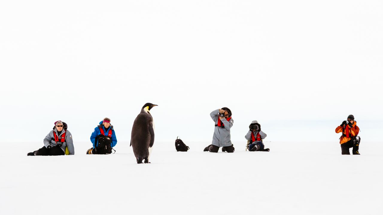 <strong>Photography passion:</strong> Peacock first started photographing his travels when he went to India and Nepal. "I took 50 rolls of slide film with me. I'd always been interested in photography," he says. <em>Pictured here: an Emperor Penguin in Antarctica</em>