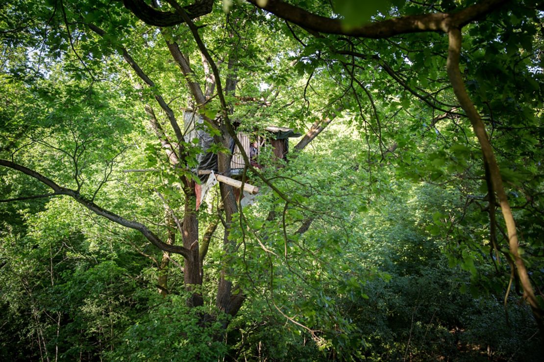 An activist's treehouse in Hambach Forest. 