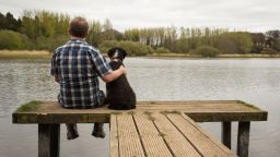 dog owners heart disease and death