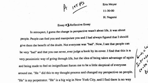 An excerpt of the essay Erin Thompson wrote for her freshman composition class at the University of Arizona.