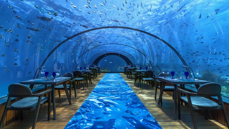 <strong>5.8 Undersea Restaurant: </strong>Part of the luxury Maldives resort Hurawalhi, 5.8 Undersea Restaurant is the world's largest all-glass underwater restaurant. 
