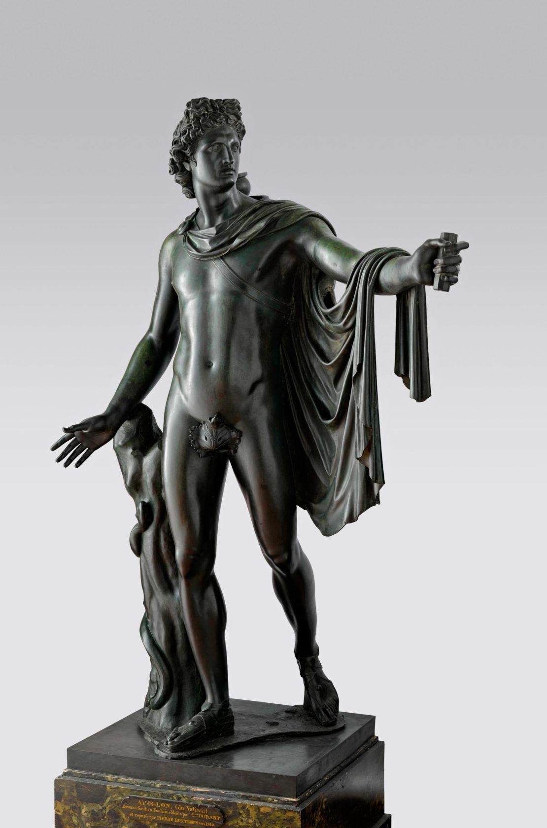apollo belvedere statue portrait size