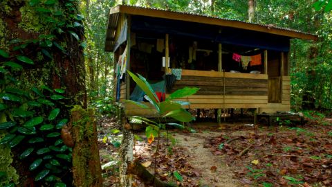 A beach house-type hut in Gunung Palung National Park, Borneo, Indonesia.