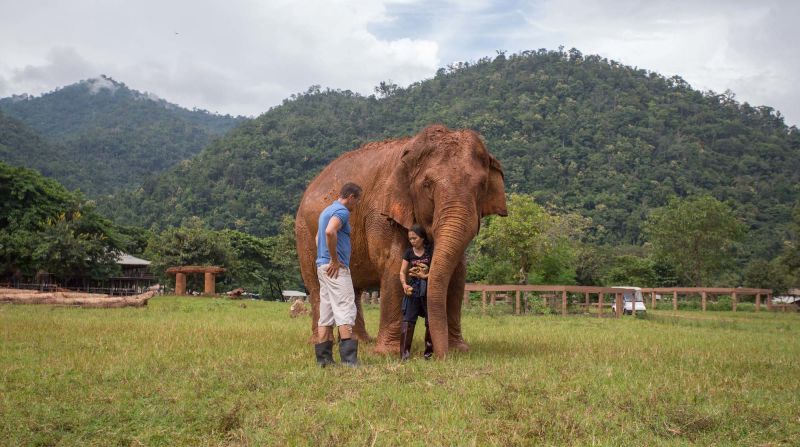 <strong>Unconditional love: </strong>"Elephants teach me a lot," says Sangdeaun, pictured here with Quest. "They have this love that humans don't have. A love for life, unconditional love -- and this is what we have to learn from them." 