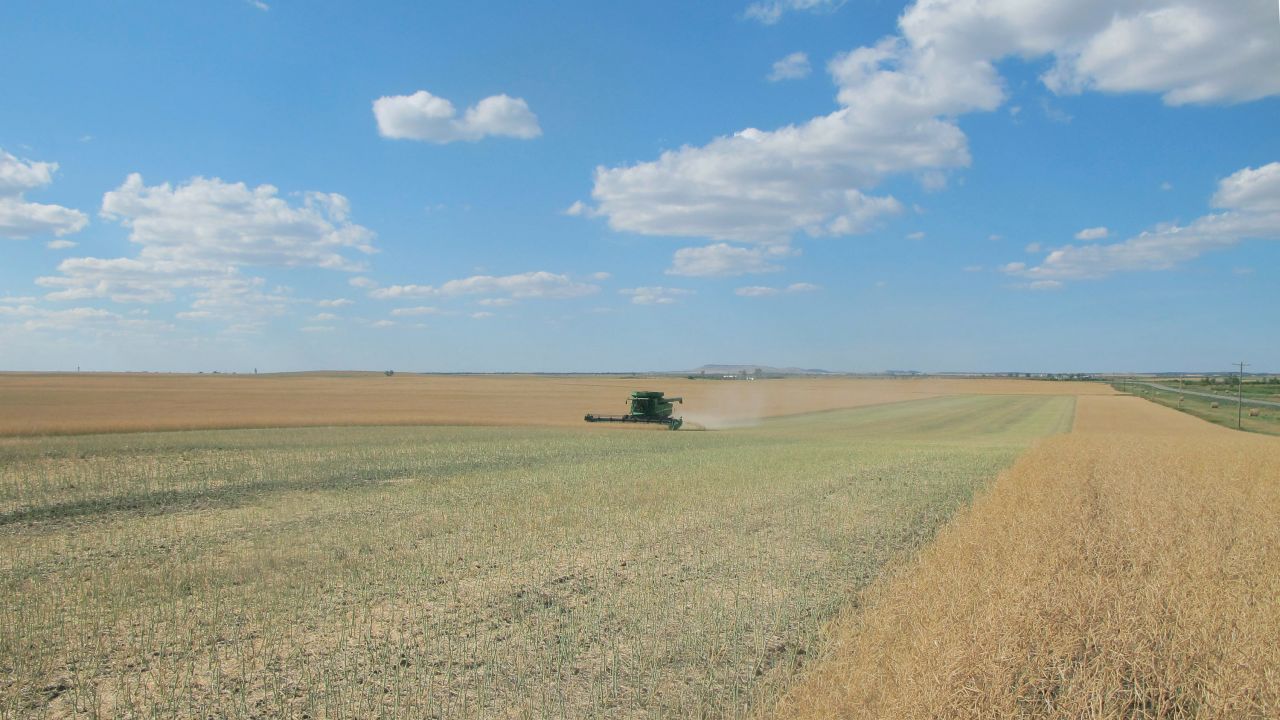 The northern plains were hit especially hard by a drought that lasted from the spring to autumn. An estimated $2.5 billion in damages occurred as field crops withered in the sun. The lack of feed, due to damaged wheat, forced ranchers to sell off their cattle. 