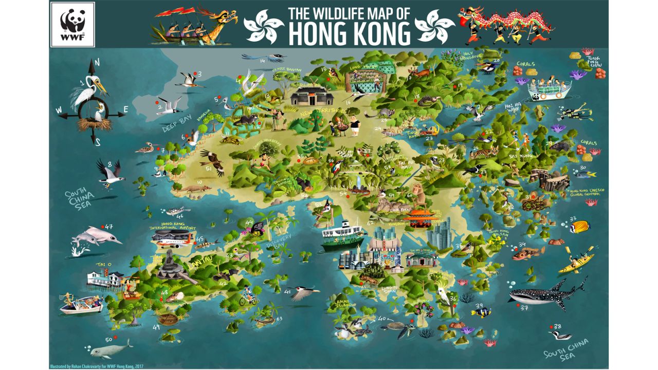 <strong>Hong Kong's biodiversity:</strong> Over 60 species are showcased in a new cartoon map by the World Wildlife Fund-Hong Kong.
