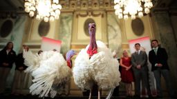 WASHINGTON, DC - NOVEMBER 20:  Drumstick and Wishbone, the National Thanksgiving Turkey and its alternate 'wingman,' are introduced during an event hosted by The National Turkey Federation at the Williard InterContinental November 20, 2017 in Washington, DC. One of the 40-pound fowl will be presented to U.S. President Donald Trump at the White House Tuesday, when he will ceremoniously 'pardon' the turkey. Both of the 20-week-old birds will then reside at their new home, 'Gobbler's Rest,' at Virginia Tech.  (Photo by Chip Somodevilla/Getty Images)
