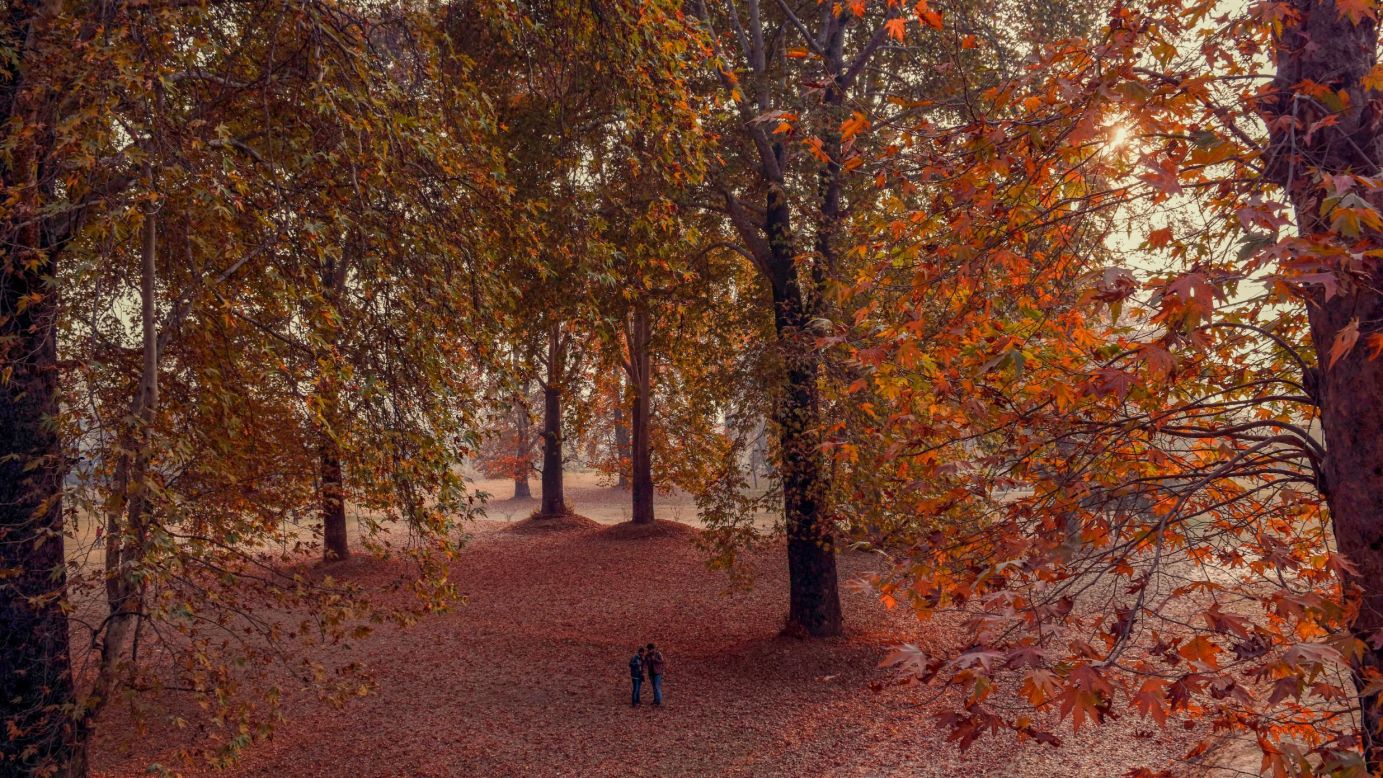 <strong>Srinagar, Kashmir Valley:</strong> Rich November colors in the Nishat Bagh Mughal garden in Srinagar. The trees are chinar, or oriental plane, an indigenous variety of maple. <br />