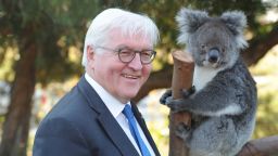 PERTH, AUSTRALIA - NOVEMBER 03:  President of the Federal Republic of Germany, Frank-Walter Steinmeier, stands with koala "Karen" as he visits Kings Park in Perth at the start of a state visit on November 3, 2017 in Perth, Australia. Dr Frank-Walter Steinmeier is visiting with his wife Elke Budenbender on a three-day visit to Australia.  (Photo by Greg Wood - Pool/Getty Images)