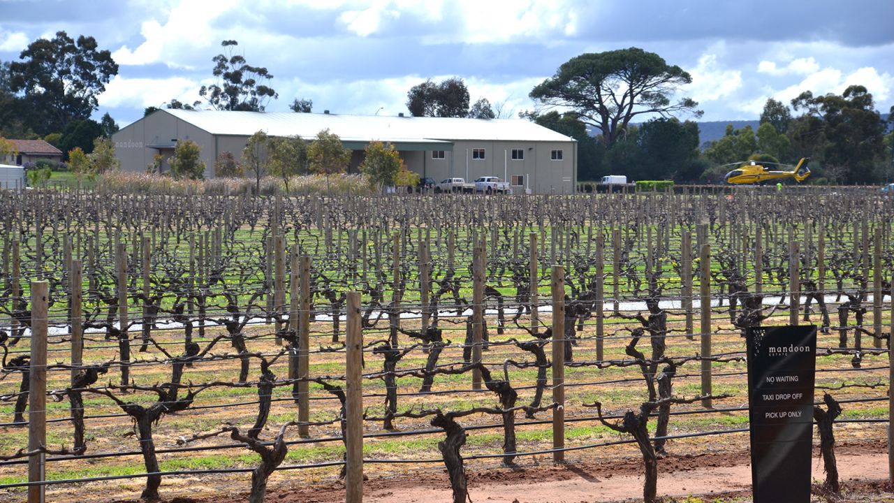 <strong>Mandoon Winery: </strong>Western Australia is well-known for its brilliant wines. Mandoon Winery is just 20 minutes from the city center.