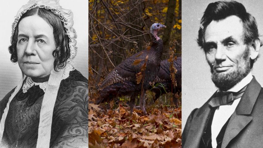 hale lincoln turkey thanksgiving origins