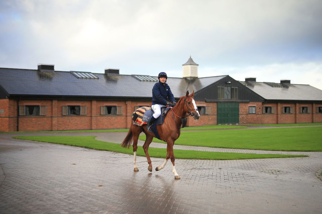 Owen established the Manor House Stables in Cheshire, England in 2007. He and his wife Louise converted it from an old cattle barn and trainer Tom Dascombe has more than 100 horses based there.