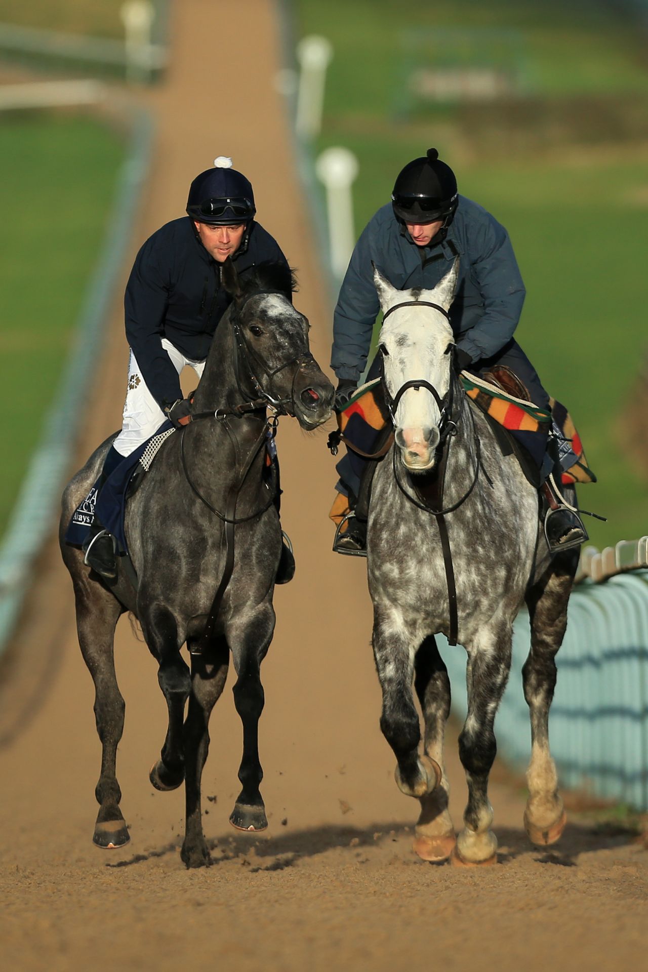 Owen (L) takes to the gallops to practice on board Calder Prince, the grey gelding he will will ride at Ascot.