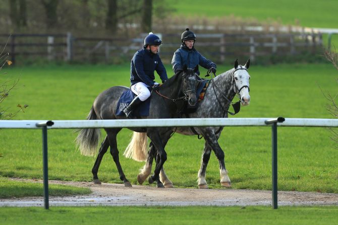 Dascombe believes that If it was a professional race at Ascot, over seven furlongs, the horse would probably be favorite.