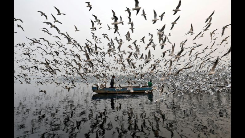 Men feed seagulls along the Yamuna river in New Delhi on Friday, November 17.