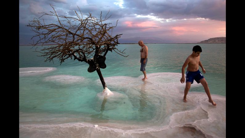 Salt rises on a tree in the Dead Sea near Ein Bokek, Israel, on Wednesday, November 22.