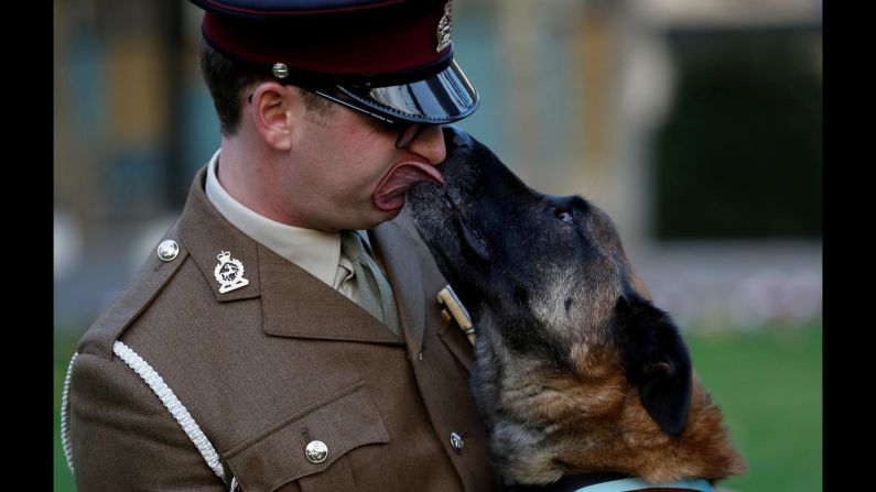 Mali, a working dog with the British military, poses with his handler, Cpl, Daniel Hatley, after receiving the PDSA Dickin Medal on Friday, November 17. Mali was given the award, Britain's highest for animal bravery, in recognition of <a href="https://www.nytimes.com/2017/11/17/world/europe/britain-hero-dog-afghanistan.html" target="_blank" target="_blank">his heroics in Afghanistan.</a>